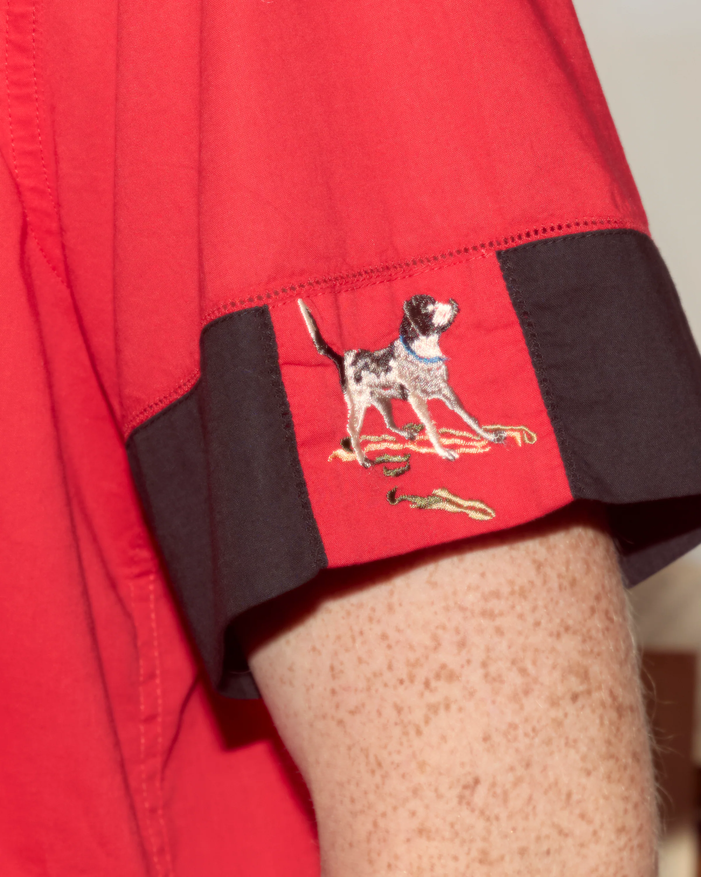 Pointer Short Sleeve Shirt - Image 4